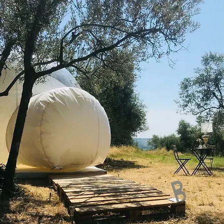 Bubbletentflorence *